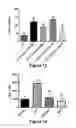 Fig. 09 - Methods for treatment of interstitial cystitis