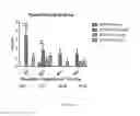 Fig. 08 - Induced expression of brain derived neurotrophic factor (BDNF) for treatment of neuromuscular, neurodegenerative, autoimmune, developmental and/or metabolic diseases