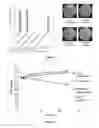 Fig. 06 - SYNERGISTIC ANTIFUNGAL COMPOSITIONS AND METHODS THEREOF