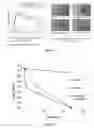 Fig. 08 - SYNERGISTIC ANTIFUNGAL COMPOSITIONS AND METHODS THEREOF
