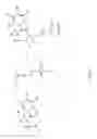 Fig. 02 - ESTROGEN RECEPTOR MODULATORS