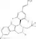 Fig. 62 - ESTROGEN RECEPTOR MODULATORS