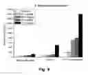 Fig. 07 - ANTICONVULSANT ACTIVITY OF STEROIDS