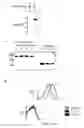 Fig. 02 - Method for generating progenitor t cells from stem and/or progenitor cells and use of same