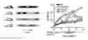 Fig. 01 - MICROBIOME-BASED DIAGNOSIS, PREDICTION AND TREATMENT OF RELAPSING OBESITY
