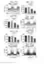 Fig. 22 - MICROBIOME-BASED DIAGNOSIS, PREDICTION AND TREATMENT OF RELAPSING OBESITY