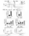 Fig. 35 - MICROBIOME-BASED DIAGNOSIS, PREDICTION AND TREATMENT OF RELAPSING OBESITY