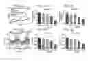 Fig. 44 - MICROBIOME-BASED DIAGNOSIS, PREDICTION AND TREATMENT OF RELAPSING OBESITY