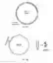 Fig. 07 - Microbial production of pure single stranded nucleic acids