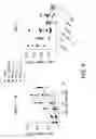 Fig. 09 - Oncolytic viruses targeting STAT3