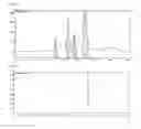 Fig. 04 - ANTIOXIDANT COMPOSITION COMPRISING SARGASSUM SERRATIFOLIUM EXTRACT OR FRACTION THEREOF AS ACTIVE INGREDIENT