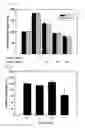 Fig. 06 - ANTIOXIDANT COMPOSITION COMPRISING SARGASSUM SERRATIFOLIUM EXTRACT OR FRACTION THEREOF AS ACTIVE INGREDIENT