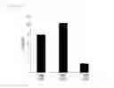 Fig. 02 - Ecklonia cava extract and a pharmaceutical composition for preventing or treating vascular diseases comprising the same as an active ingredient
