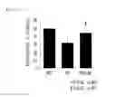 Fig. 06 - Ecklonia cava extract and a pharmaceutical composition for preventing or treating vascular diseases comprising the same as an active ingredient