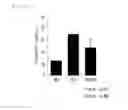 Fig. 07 - Ecklonia cava extract and a pharmaceutical composition for preventing or treating vascular diseases comprising the same as an active ingredient
