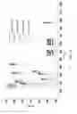 Fig. 03 - Method for improving mitochondria and method for promoting cell division of stem cell