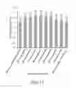 Fig. 15 - Method for improving mitochondria and method for promoting cell division of stem cell