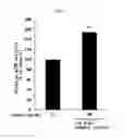 Fig. 02 - Composition for improving muscular function or for enhancing exercise performance comprising vigna angularis var. angularis
