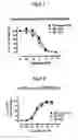 Fig. 03 - Method for increasing cardiac inflow by administering a compound that binds RXFP1
