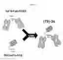Fig. 02 - COMBINATION THERAPY FOR INDUCING IMMUNE RESPONSE TO DISEASE