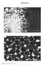 Fig. 02 - Radiopaque polymers