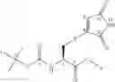 Fig. 69 - Reversible covalent linkage of functional molecules