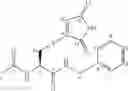 Fig. 72 - Reversible covalent linkage of functional molecules