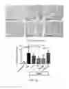 Fig. 22 - Compositions and methods for the inhibition of fibrosis