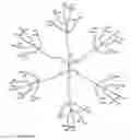 Fig. 02 - Dendrimer delivery system and methods of use thereof