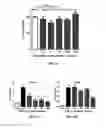 Fig. 06 - Dendrimer delivery system and methods of use thereof