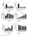 Fig. 07 - Dendrimer delivery system and methods of use thereof