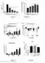 Fig. 08 - Dendrimer delivery system and methods of use thereof