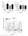Fig. 09 - Dendrimer delivery system and methods of use thereof