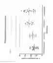 Fig. 06 - Hydrogel for engineered immune response to D-chirality peptides