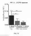 Fig. 06 - Compositions and methods for selective inhibition of grainyhead-like protein expression