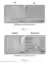 Fig. 22 - Compositions and methods for selective inhibition of grainyhead-like protein expression