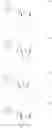 Fig. 29 - FORMULATION AND DELIVERY OF MODIFIED NUCLEOSIDE, NUCLEOTIDE, AND NUCLEIC ACID COMPOSITIONS