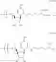 Fig. 67 - FORMULATION AND DELIVERY OF MODIFIED NUCLEOSIDE, NUCLEOTIDE, AND NUCLEIC ACID COMPOSITIONS
