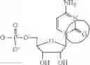 Fig. 89 - FORMULATION AND DELIVERY OF MODIFIED NUCLEOSIDE, NUCLEOTIDE, AND NUCLEIC ACID COMPOSITIONS