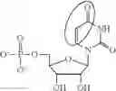 Fig. 91 - FORMULATION AND DELIVERY OF MODIFIED NUCLEOSIDE, NUCLEOTIDE, AND NUCLEIC ACID COMPOSITIONS