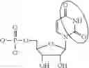 Fig. 93 - FORMULATION AND DELIVERY OF MODIFIED NUCLEOSIDE, NUCLEOTIDE, AND NUCLEIC ACID COMPOSITIONS