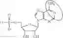 Fig. 96 - FORMULATION AND DELIVERY OF MODIFIED NUCLEOSIDE, NUCLEOTIDE, AND NUCLEIC ACID COMPOSITIONS