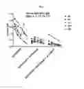 Fig. 02 - METHODS AND COMPOSITIONS FOR ATTENUATING ANTI-VIRAL TRANSFER VECTOR IGM RESPONSES