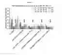 Fig. 33 - METHODS AND COMPOSITIONS FOR ATTENUATING ANTI-VIRAL TRANSFER VECTOR IGM RESPONSES