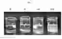 Fig. 02 - Methods for making ultrasound contrast agents