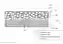 Fig. 01 - VASCULARITY AFFINITY PRECURSOR STRUCTURE FOR MUSCULO-SKELETAL TISSUE HEALING