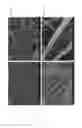 Fig. 03 - SCAFFOLDS FABRICATED FROM ELECTROSPUN DECELLULARIZED EXTRACELLULAR MATRIX