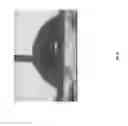 Fig. 09 - SCAFFOLDS FABRICATED FROM ELECTROSPUN DECELLULARIZED EXTRACELLULAR MATRIX