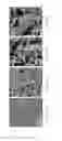 Fig. 15 - SCAFFOLDS FABRICATED FROM ELECTROSPUN DECELLULARIZED EXTRACELLULAR MATRIX