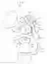 Fig. 02 - Manual breast pump